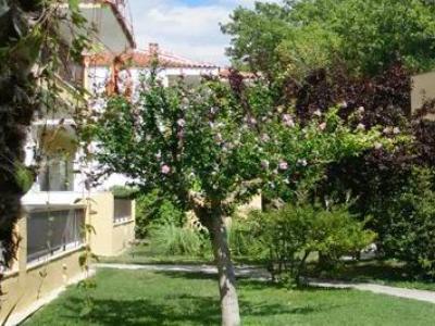 Ioli Apartments Σκάλα Φούρκας Εξωτερικό φωτογραφία